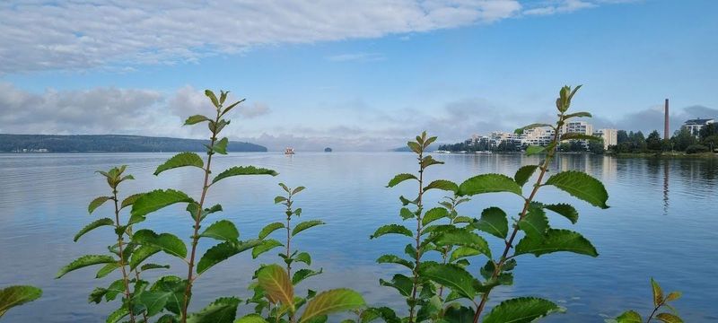 Järvimaisema ja kaupungin rantarakentamista